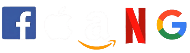 Google Amazon Apple Netflix Meta